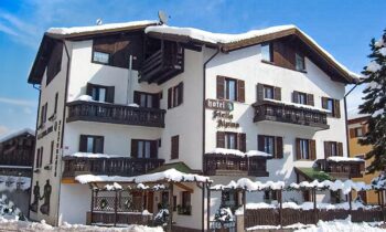 Hotel Stella Alpina**