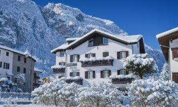 Hotel Stella Alpina**